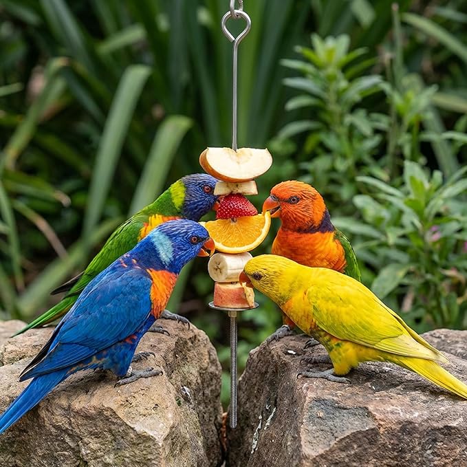 Bird Cage Food Holder - 2 Pcs Stainless Steel Parrot Fruit Vegetable Skewer Bird Cage Feeder, Birds Foraging Toys with Hooks for Parakeets, Budgies, Macaws