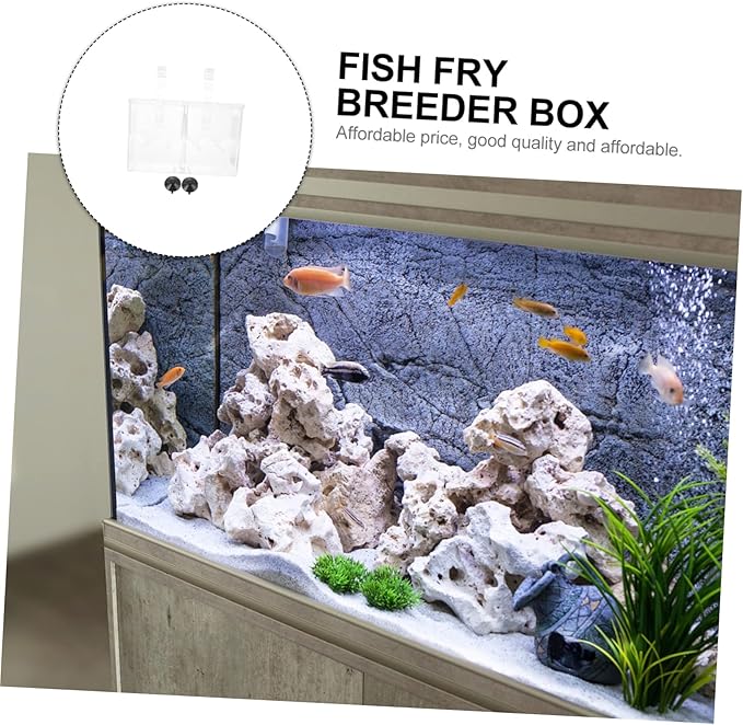 Hatching Incubator Box Aquarium Breeding Accessory Isolation Tank for Aggressive Injured Fish Plastic Material