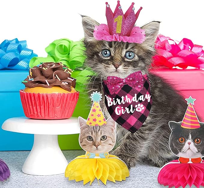 Cat Birthday Party Supplies - Cat Outfits Kitten Bandanas with Hat, Crown, Bow Tie, Number for Kitten Decorations (Rose)