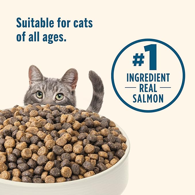 Nutrish Dry Cat Food, Real Salmon & Brown Rice Recipe Whole Health Blend, 3 lb. Bag (Rachael Ray)