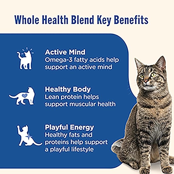 Nutrish Grain Free Wet Cat Food Ocean Fish & Chicken Catch-iatore Whole Health Blend with Real Flaked Ocean Fish & Shredded Chicken in Sauce, 2.8 oz. Cup (Rachael Ray) (Pack of 24)