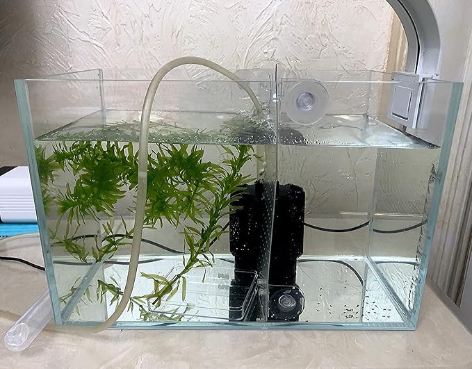 Small Nano Tall Rimless Tank, Glass Fish Tank, Betta Fish Tank, Aquarium (2.85 Gal, 11.8x6.7x7.8 inch)