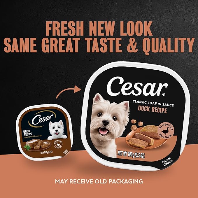 Cesar Classic Loaf in Sauce Adult Wet Dog Food Duck Recipe, (24) 3.5 oz. Easy Peel Trays, 24 Count (Pack of 1)