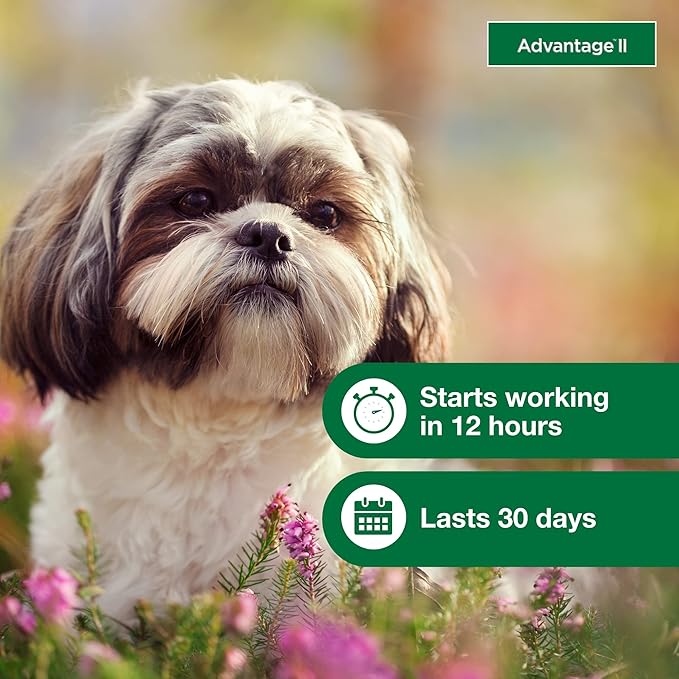 Advantage II Small Dog, 6 pack