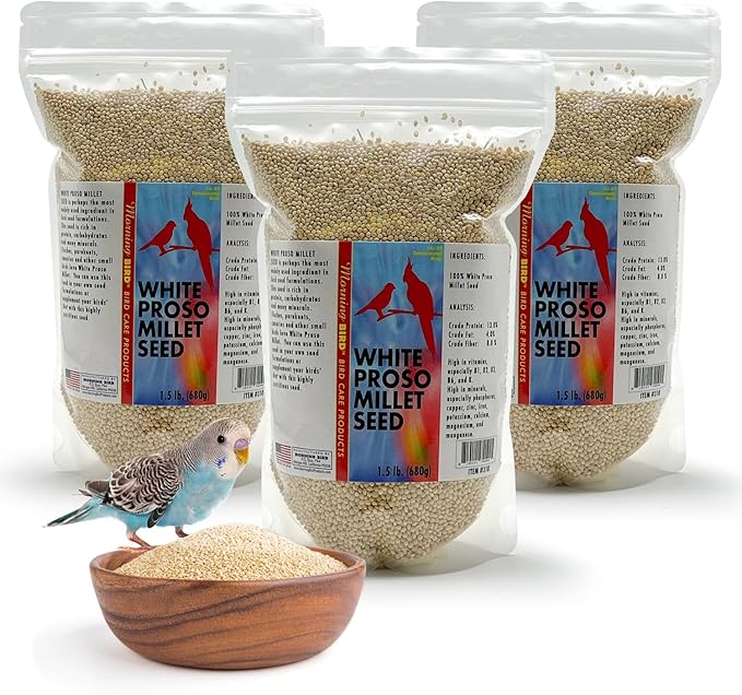 Morning Bird White Proso Millet 4.5 lbs (3-Pack, 1.5 lbs Each) Natural Bird Seed – Supports Feather Growth & Balanced Nutrition – High Energy Delicious Seed - Ideal for Finches, Parakeets & Pet Birds