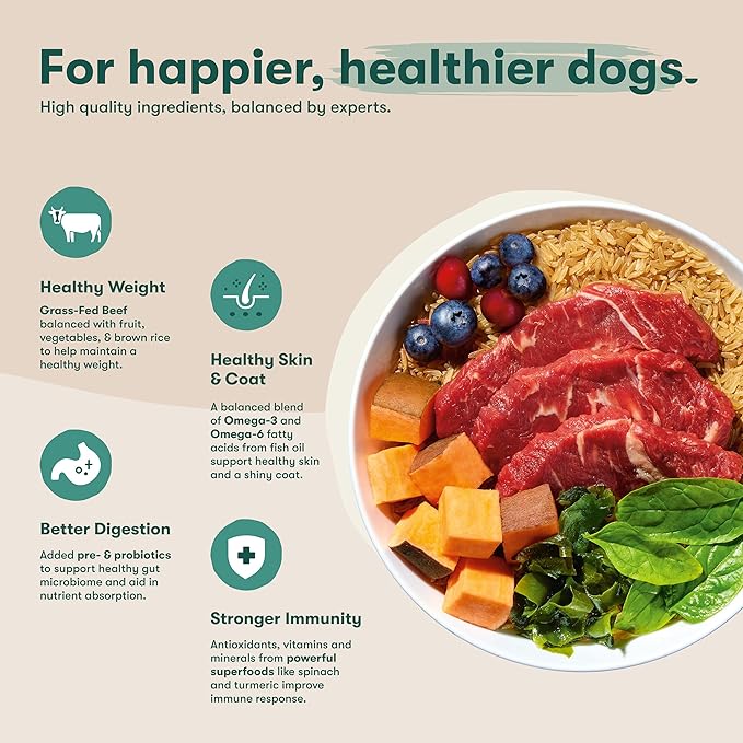 Jinx Premium Dry Dog Food for Large Dogs - Adult Dog Food with Real Beef, Brown Rice & Sweet Potato Kibble with Antioxidants for Joint Health, Mobility & Immune Support - No Fillers - 11.5lb