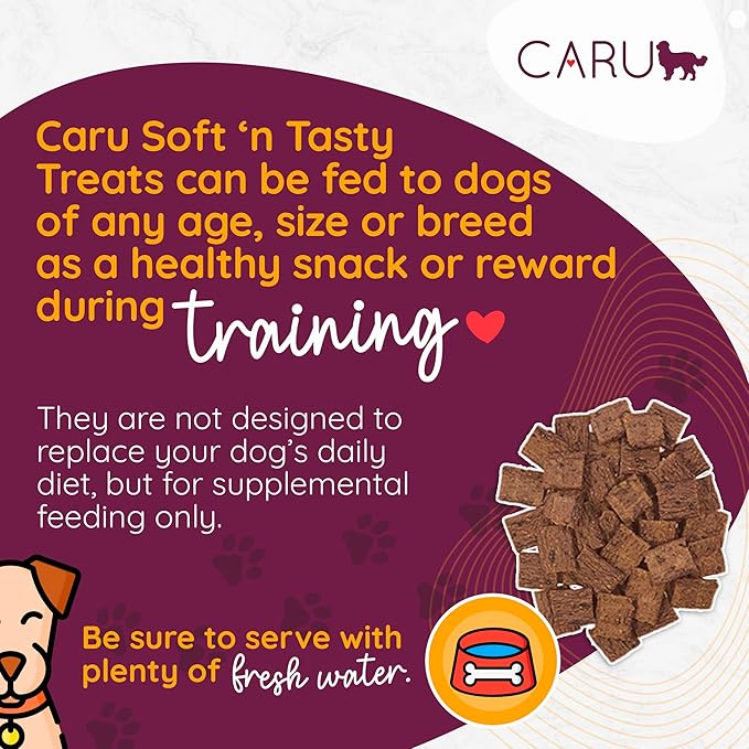 Caru - Soft n’ Tasty Baked Bites - Salmon Bites Dog Treats - Flavorful Training Treats - 4 oz Bags - Pack of 3