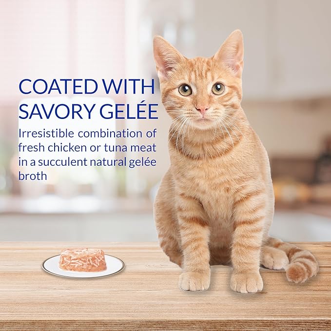 INABA Twins for Cats, Grain-Free Shredded Chicken & Broth Gel Side Dish/Complement/Topper Cups, 1.23 Ounces per Serving, 14.76 Ounces, Tuna & Chicken with Scallop Recipe,Total Servings (Pack of 24)