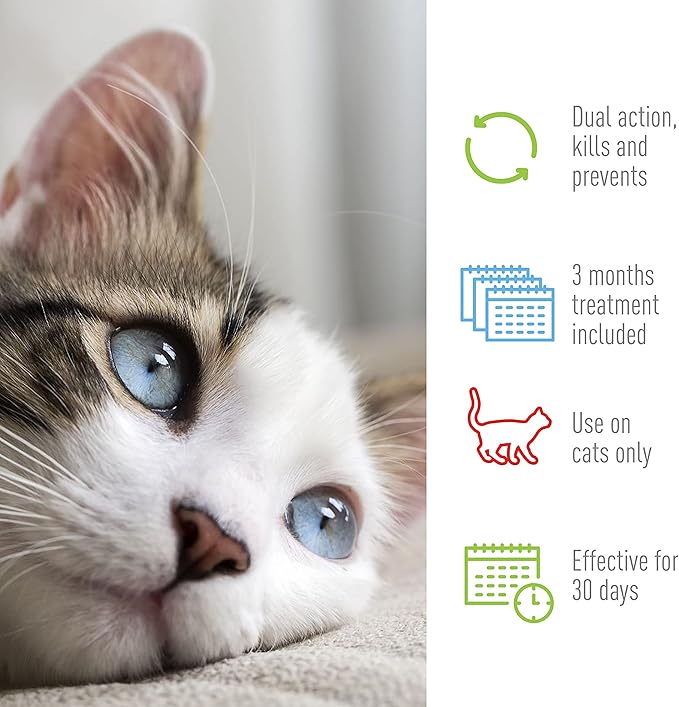 Adams Plus Flea & Tick Spot On for Cats Over 2.5 lbs but Under 5 Pounds 3 Month Supply