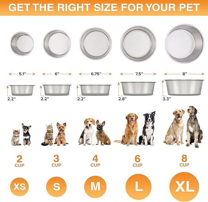 Neater Pet Brands Stainless Steel Dog Bowls with Non-Slip Rubber Bottom – 3 Cup (24 oz), Gray - Set of 2 Heavy Duty Metal Dog Bowls, Dishwasher Safe, Food or Water Bowl, Ideal for Small to Medium Dogs
