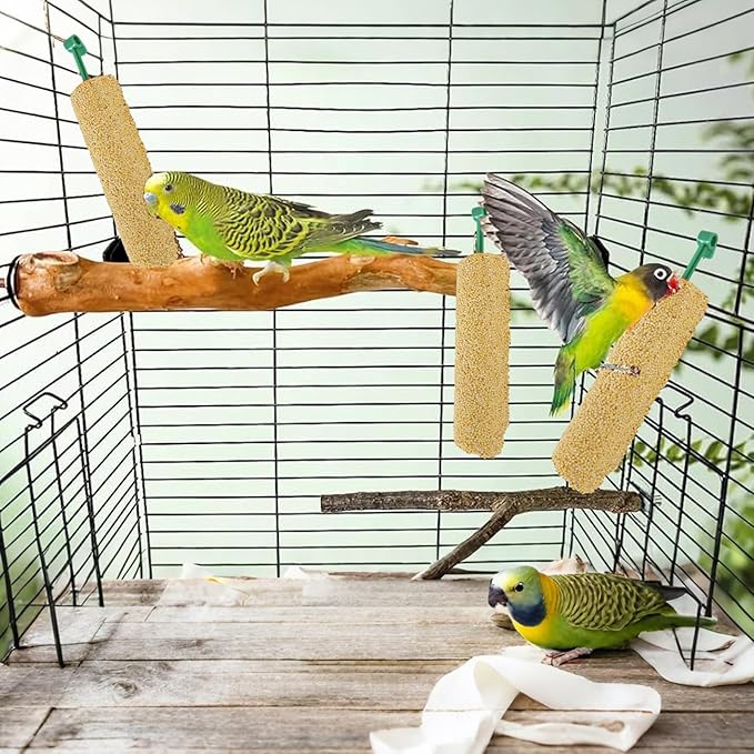 Bird Treat Stick Set, Chewing Training Reward Snacks, Multi Species Nutrition for Cockatiel Finch and Parrot, Natural Seed Blend Formula, Free Hanging Design, Healthy Enrichment Support