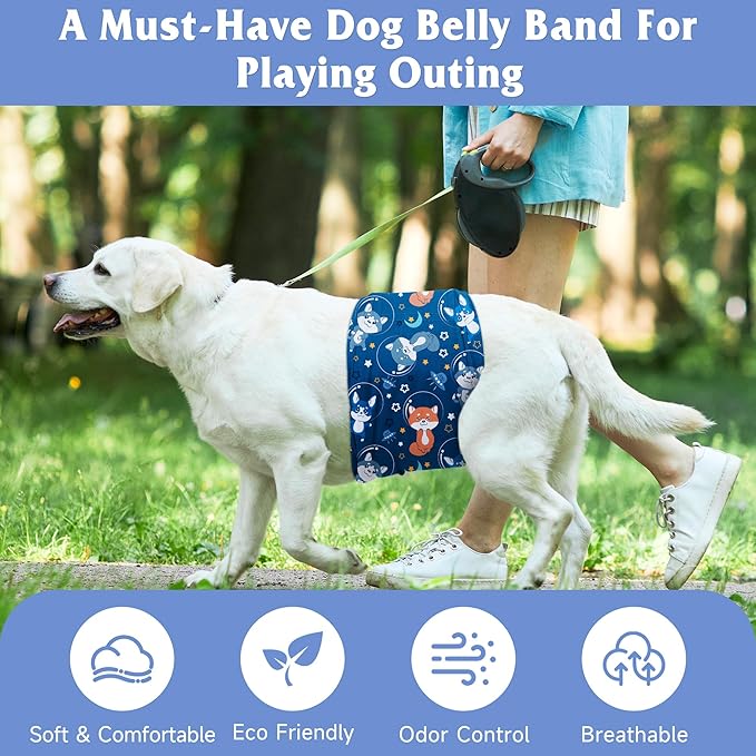 5 Pack Dog Diapers Male Reusable, Premium Belly Bands for Male Dogs, High Absorbing Pee Wraps for Doggie in Incontinence or Excitable Urination Flower S
