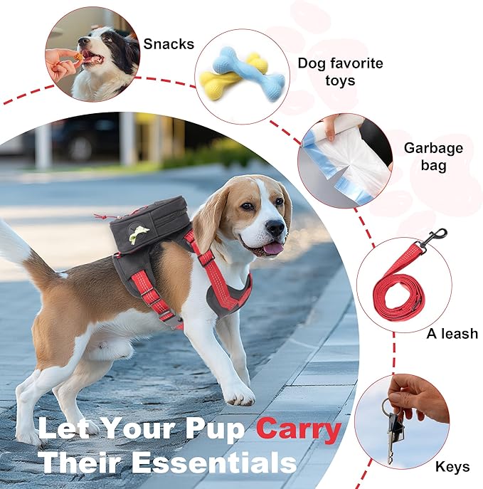 Dog Backpack Harness for Small and Medium Dogs, Adjustable Lightweight Bag with Detachable Backpack and Leash, Poop Bag Dispenser, Water Resistant for Hiking, Travel, Training, and Daily Walks, L