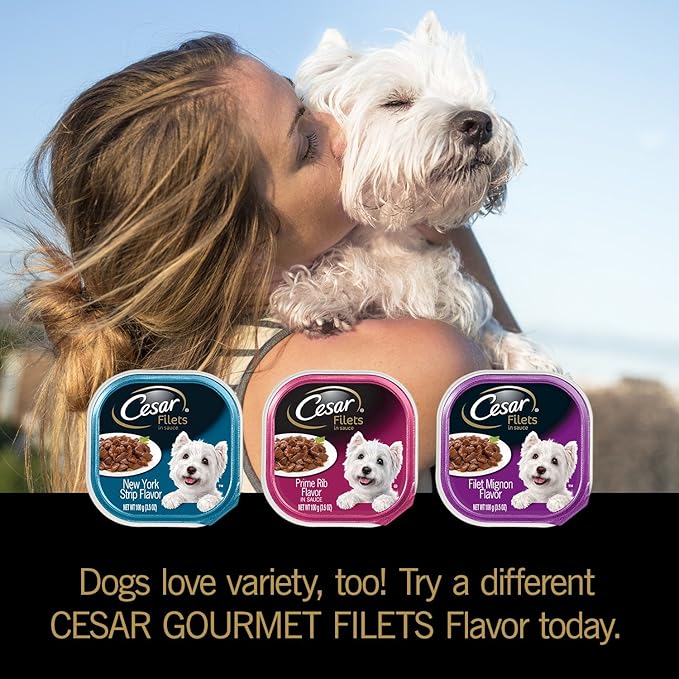 Cesar Filets in Gravy Adult Wet Dog Food Variety Pack, Filet Mignon and New York Strip Flavors, 3.5 oz. Easy Peel Dog Food Tray, 12 Count (Pack of 1)