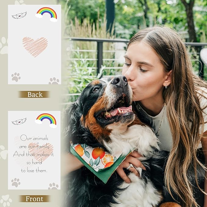 Dog Memorial Gifts with Remote - Sympathy Bereavement Gifts for Loss of Dog, Rainbow Bridge Memorial Lantern for Grieving Pet Owner