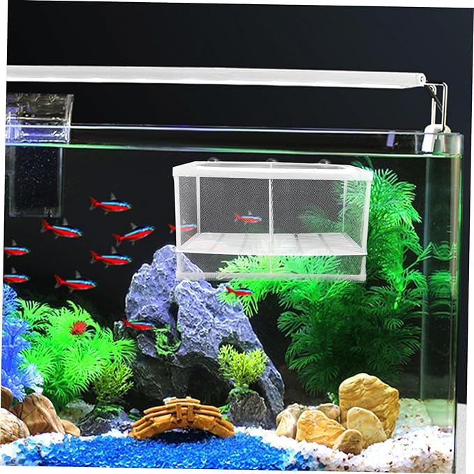 BESPORTBLE 2pcs Aquarium Fish Breeding Box with Isolation Net and Suction Cups Durable Hatchery for Shrimp and Fish Incubator to Protect Fry and Enhance Survival Rate