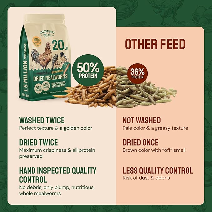 Hatortempt 20lb Dried Mealworms for Chickens - 50% Protein and 32% Essential Fats to Support Healthy Feather Growth During Molt - Organic Treats for Chickens, Ducks, Wild Birds & Reptiles