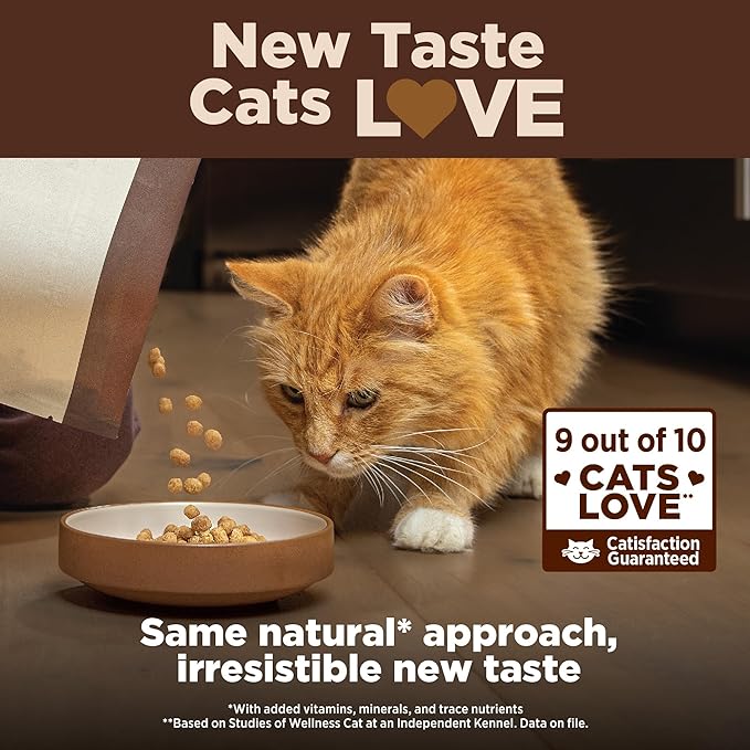 Wellness CORE+ Adult Dry Cat Food for Indoor Cats, Grain-Free, Natural, Chicken, Turkey & Chicken Meal (5 Pound Bag)