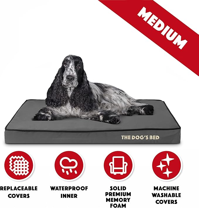 The Dog’s Bed Orthopedic Memory Foam Dog Bed Mattress, Oxford Fabric, Grey with Black Trim, Medium, 3-Inch