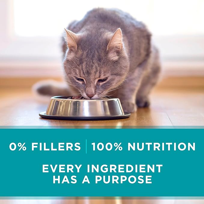 Purina ONE Natural, High Protein, Grain Free Wet Cat Food Pate, Ocean Whitefish Recipe - (Pack of 24) 3 oz. Pull-Top Cans