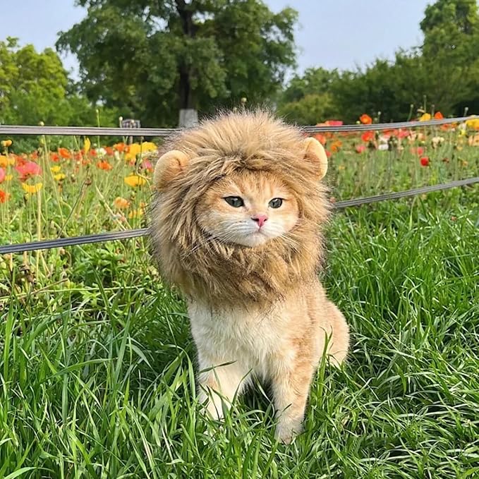 Lion Mane Wig for Cats, Adjustable Washable, Cat Lion Mane Wig for Halloween (Small)