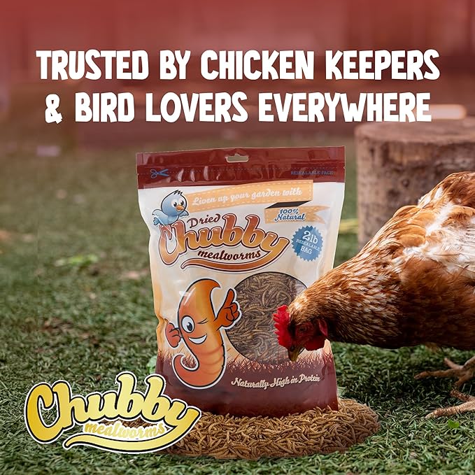 Chubby Dried Mealworms | 2 lbs | High-Protein Non-GMO Treats for Chickens, Ducks, Wild Birds & Backyard Pets