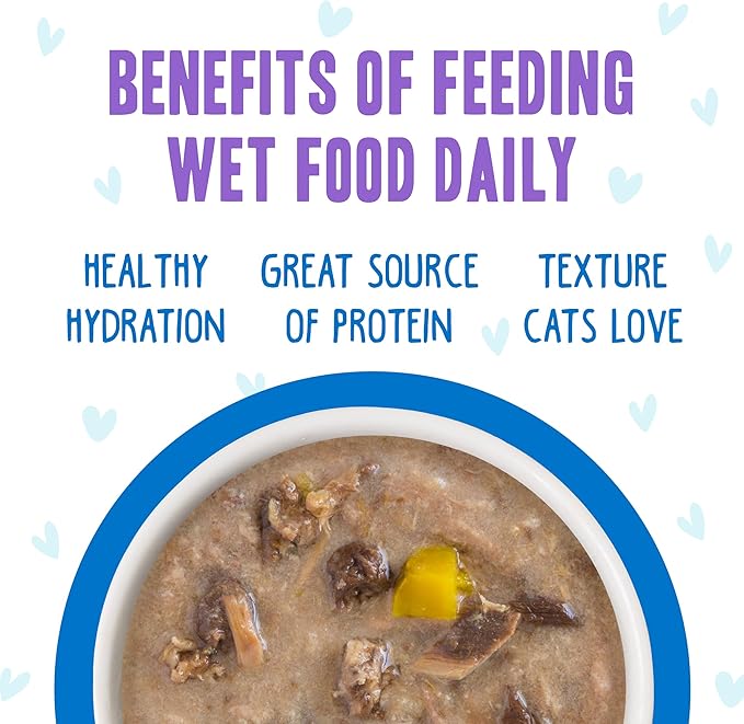 Weruva B.F.F. OMG - Best Feline Friend Oh My Gravy!,Love Munchkin! with Chicken & Pumpkin in Gravy Cat Food,5.5oz Can,(Pack of 16)
