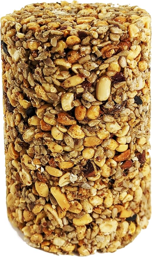 Wildlife Sciences Songbird Treats Seed Tower 2 Packs | Bundle of 2 | 1.5-2 lb Seed Log Towers for Wild Birds (Nutty's Berries 2 Pack)