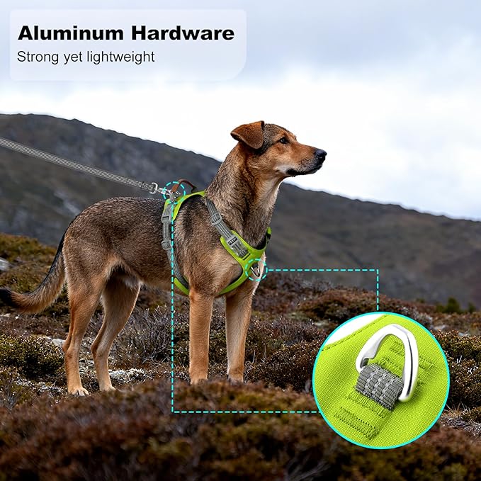 No Pull Dog Harness – Adjustable Reflective Nylon Vest for Small Medium Large Dogs, Escape Proof Training Harness with Leather Control Handle, Lightweight Aluminum Hardware (Green, L)
