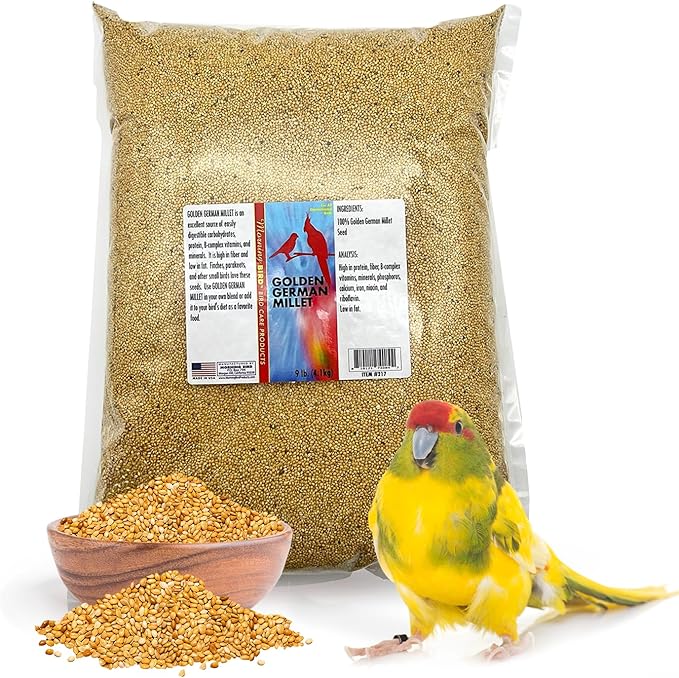 Morning Bird Golden German Millet 9 lbs – Natural Millet Seed for Birds – Natural Protein & Fiber Source – Easy-to-Digest Daily Nutrition for All Bird Types