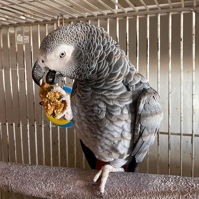 Organic Birdie Bread Mix for Parrots with Bird-Safe Pan, Human-Grade Ingredients, Easy Homemade Parrot Treats for Diet Variety & Enrichment