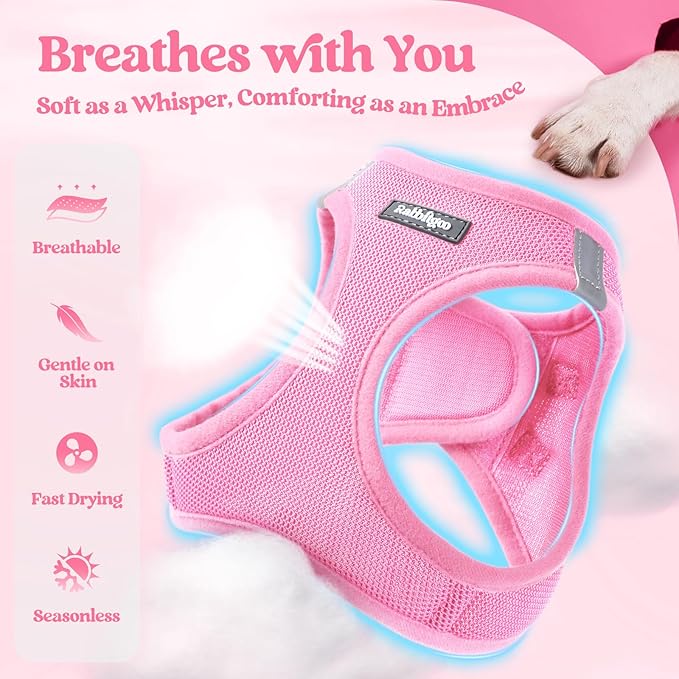 rabbitgoo Dog Harness Medium Sized and Leash Set, Step in Soft Light Puppy Vest, Breathable Mesh Pet Harness, Reflective for Safe Easy Walking, Light Pink XXL