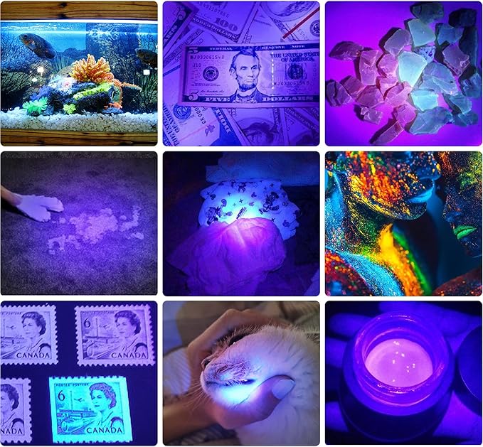 DARKBEAM UV 395nm Flashlight Ultraviolet led Light Blacklight Wood's lamp Portable 400nm Mini Detector for Dog/Cat Urine Pet Stains, Anti-counterfeiting Identification, Resin Curing, AA