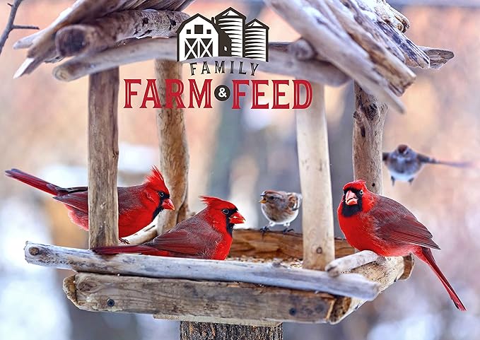 | Four Season | Country Mix | Classic Wild Bird Food | Backyard Songbird| 4 Pounds