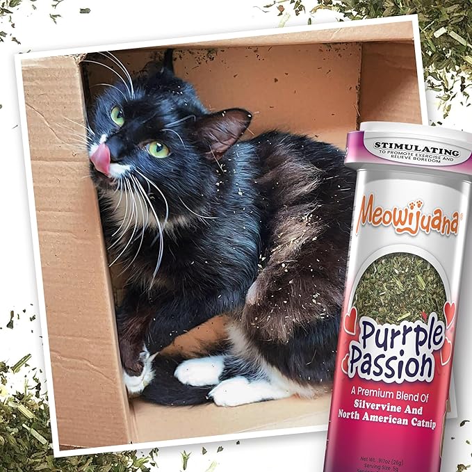 Meowijuana Purr-Effect Trio Pack | Purrple Passion, Whisker Tickler and Paw Natural OG Catnip Blends | Large Bottle High Potency Blends | Premium Hand Harvested North American Catnip