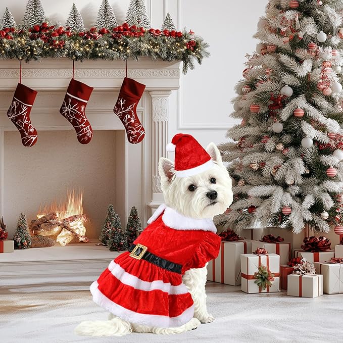 Dog Christmas Dress Santa Hat Dog Christmas Outfit Holiday Santa Costume Outfit Clothes for Small Medium Dogs (Large)