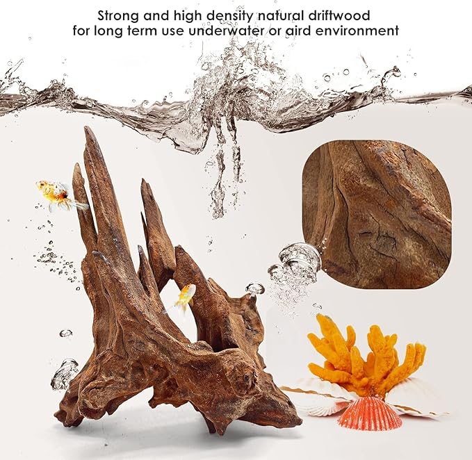 Jorewood Natural Aquarium Driftwood for Fish Tanks & Reptile Terrariums – Safe Fish Tank Decorations, Unique Twisted Branches 2-Piece 10-14 Inch Low Tannin, Easy to Sink