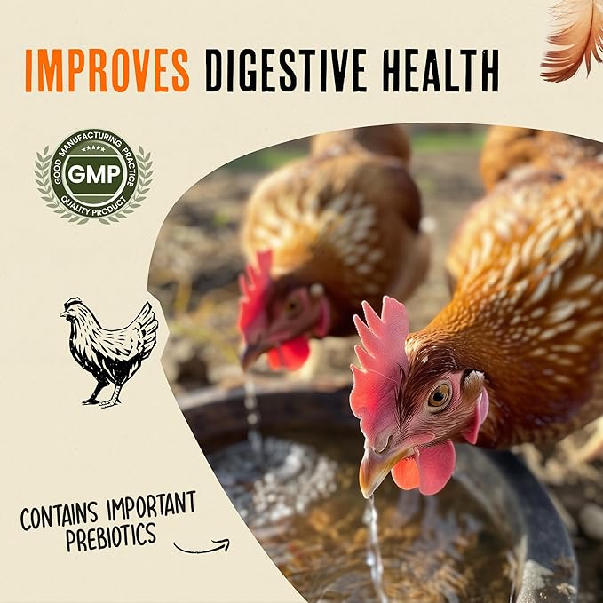 Roosty's Naturals Chicken Immunity & Digestion Booster | Chicken Digestion Supplements | Omega-3 Vitamins and Supplements | Poultry Vitamins for Chickens