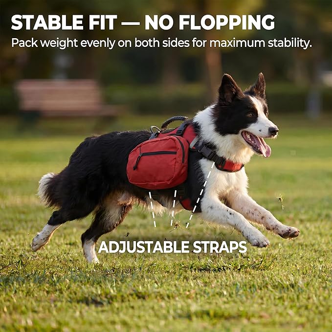 Dog Backpack for Day Hiking, Lightweight 2-in-1 Detachable Saddle Bag with Breathable Harness Vest, No-Flop Dog Daypack for Medium & Large Dogs to Carry Essentials (Medium)