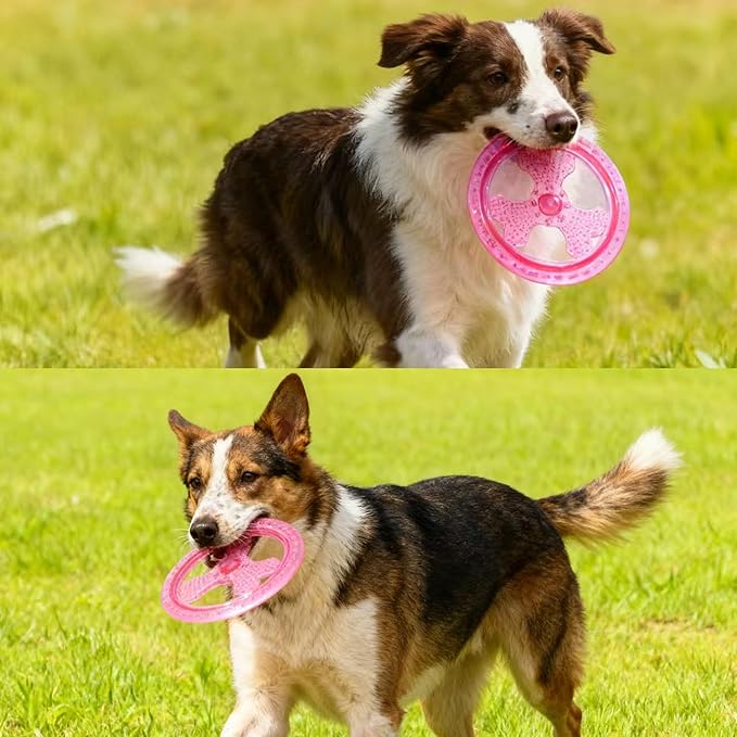 Dog Flying Disc, Outdoor Dog Toys, Dog Fetch Toy, Dog Toy for Medium Dogs and Large Dogs, Lightweight Soft Frisbee for Fetch, Tug of War, Catch, Play, 9 inch, Magenta
