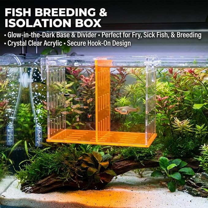 Aquarium Isolation & Acclimation Box, Acrylic Breeder Box with Long Handle Net for Fish Tank - Hatchery Incubator for Shrimp, Betta, Guppy, Baby Fish (Orange, 7.84x5.71x7.87 in)