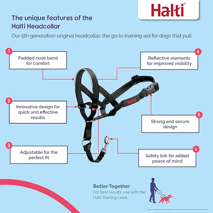 Halti Headcollar - Stop Your Dog Pulling on The Leash. Adjustable, Reflective and Lightweight, with Padded Nose Band. Dog Training Anti-Pull Collar for Medium Dogs (Size 3, Deep Walnut)