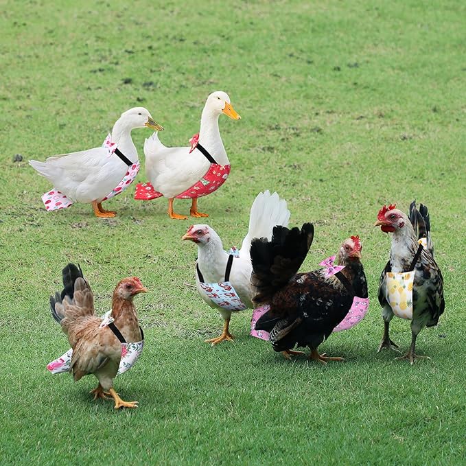 8 Pcs Chicken Diapers Bird Diaper Reusable Duck Diapers Waterproof and Adjustable Chicken Accessories Poultry(M)