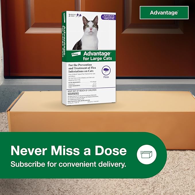 Advantage Topical Cat Flea Treatment and Prevention for Large Cats Over 9 lbs. | Apply Flea Drops Monthly | 2 Treatments,(Pack of 3)