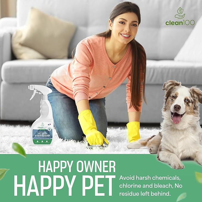 Dog Bed Deodorizer Spray Cleaner - Pet Urine Odor Remover & Stain Eliminator | 100% Natural No Enzymes Pet Stain, Dog Urine, Cat Urine Carpet Cleaner | Poop Smell & Pee Odor Eliminator