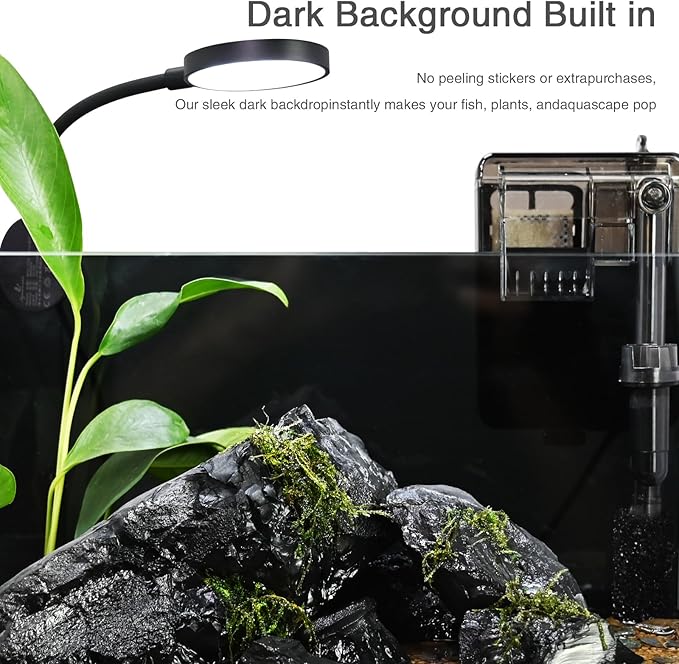Fish Tank,2.8 Gallon Small Aquarium Kit,Glass Small Fish Tank,Betta Fish Tank with Light and Filter, Small Transparent Glass Fish Tank with Light and Filter
