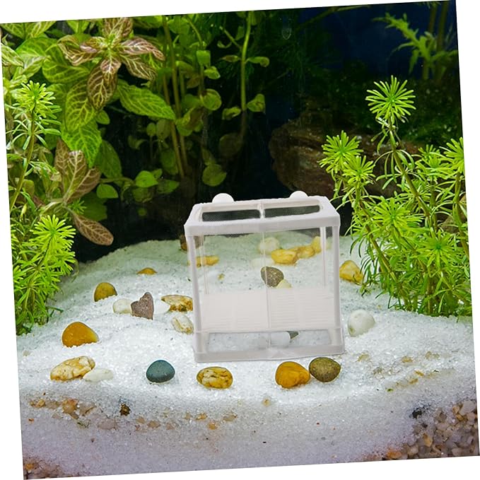Yardwe 2pcs Fish Breeding Isolation Box Transparent Plastic Hatching Tank Suction Cups for Betta and Guppy Fry Lightweight and Easy to Install Fish Tank Divider