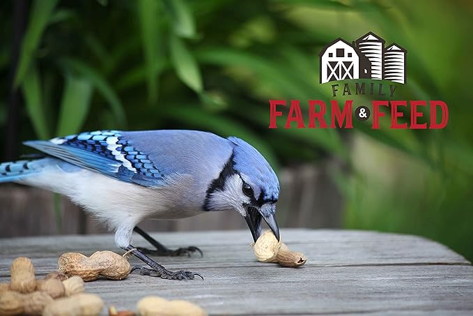 | Four Seasons | in Shell Peanuts | Wild Bird Food | Backyard Songbird | 2 Pounds