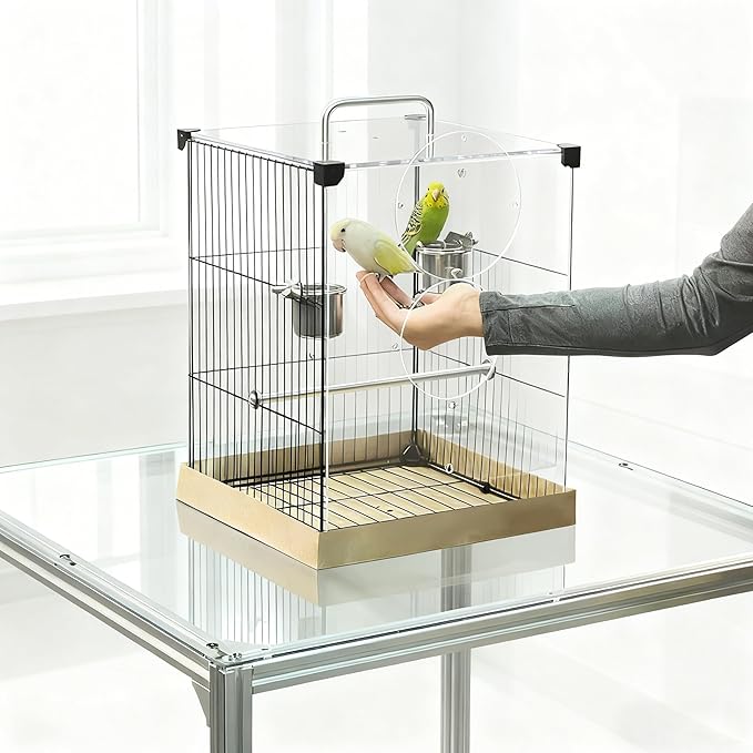 GuineaLoft™ Acrylic-Front Bird Cage (Model-E3) w/Accessories Incl. – Small Bird Cage 1x1x1.33 ft, Crystal-Clear Front View, Spacious Modern Design – Visit The GuineaLoft Store to See More
