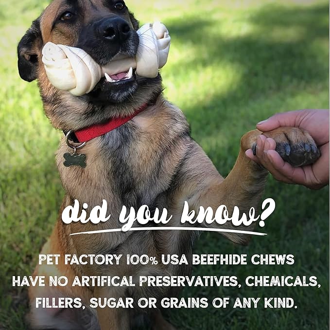 Pet Factory 100% Made in USA Beefhide 7" Braided Sticks Dog Chew Treats - Natural Flavor, 6 Count/1 Pack